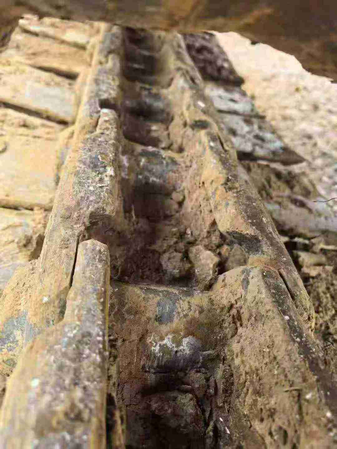 Used Caterpillar 313D Excavator 2013 Model / 8