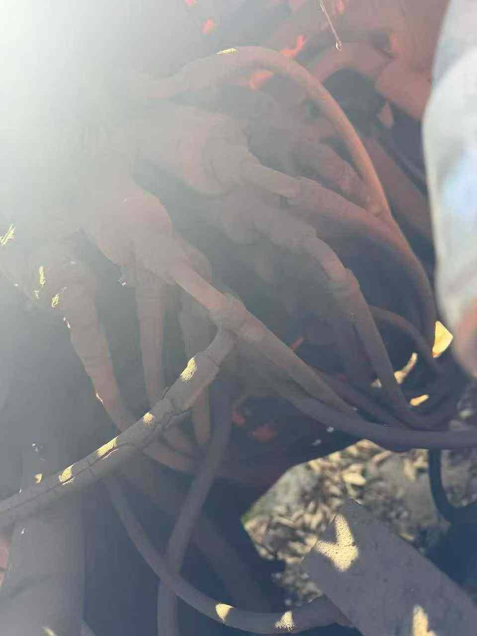 Used Doosan DH370 Excavator 2016 Model / 4