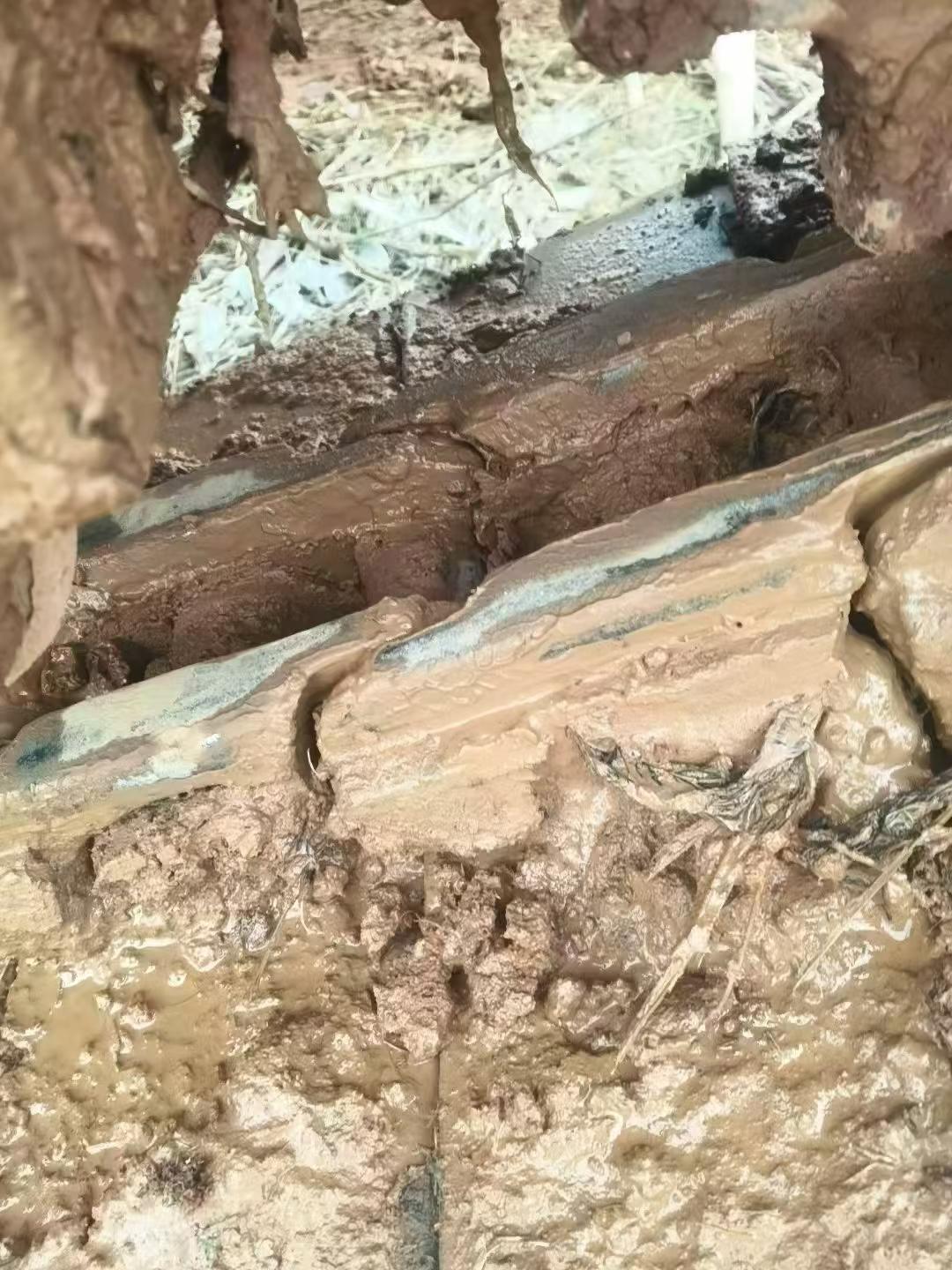 Used Doosan DX60 Excavator 2018 Model / 8