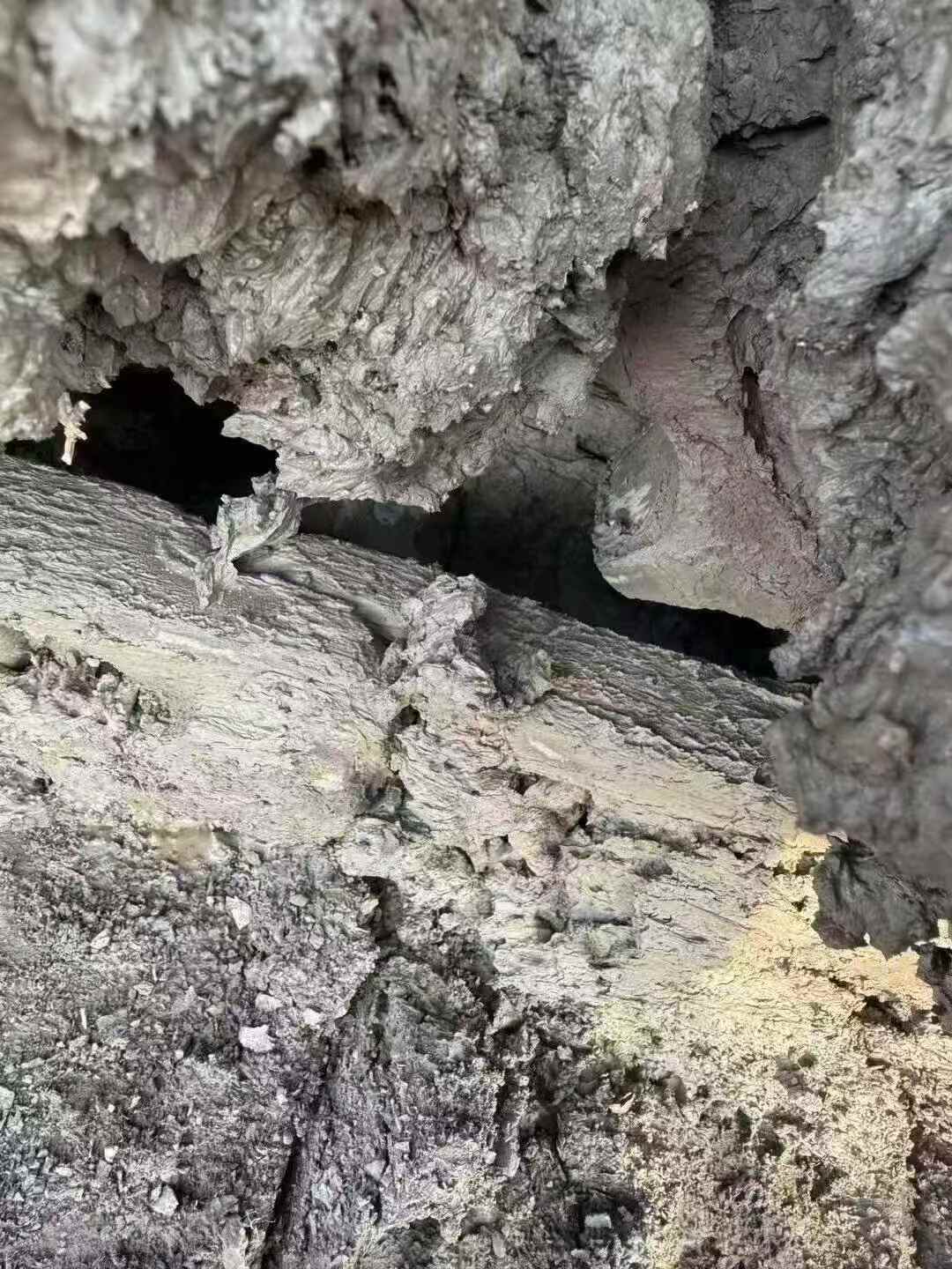 Used Sany SY200C Excavator 2021 Model / 5