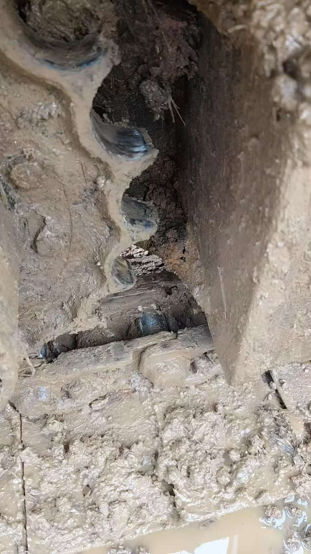 Used Sany SY55 Excavator 2019 Model / 7