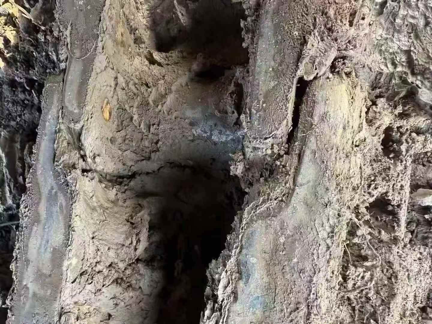 Used Sany SY200C Excavator 2021 Model / 6