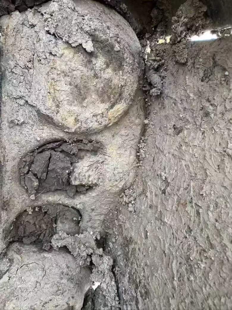 Used Caterpillar 336E Excavator 2019 Model / 9