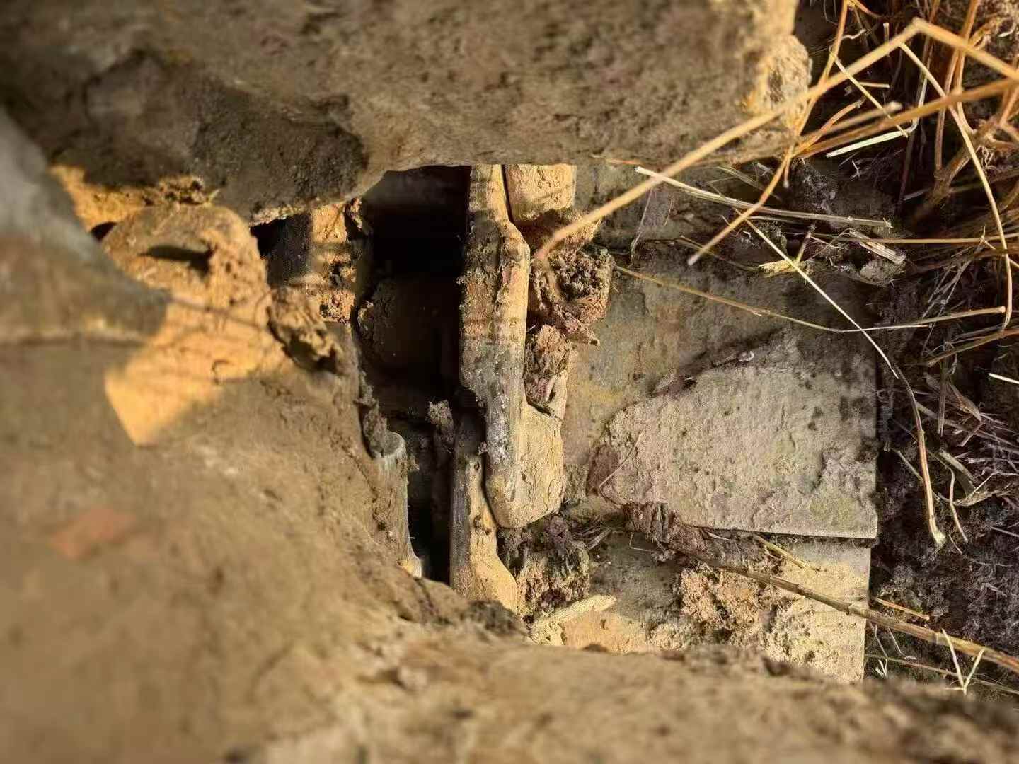 Used XCMG XE200 Excavator 2021 Model / 6