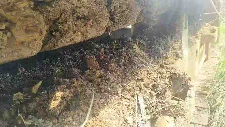 Used XCMG XE75C Excavator 2018 Model / 7