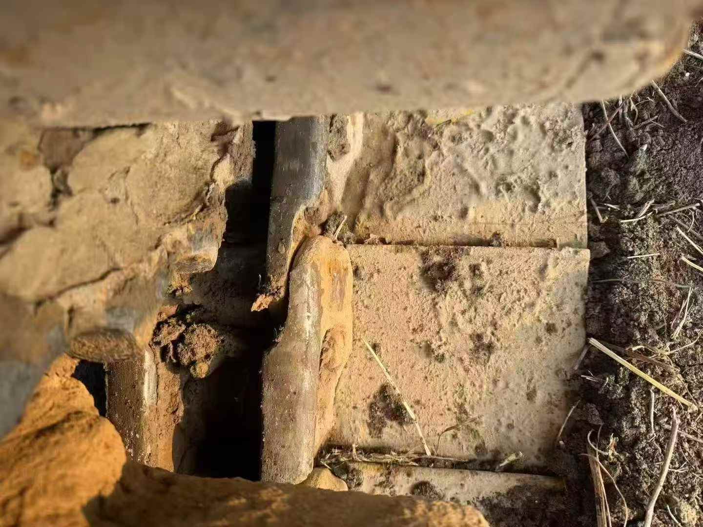 Used Sany SY205C-8 Excavator 2020 Model / 5