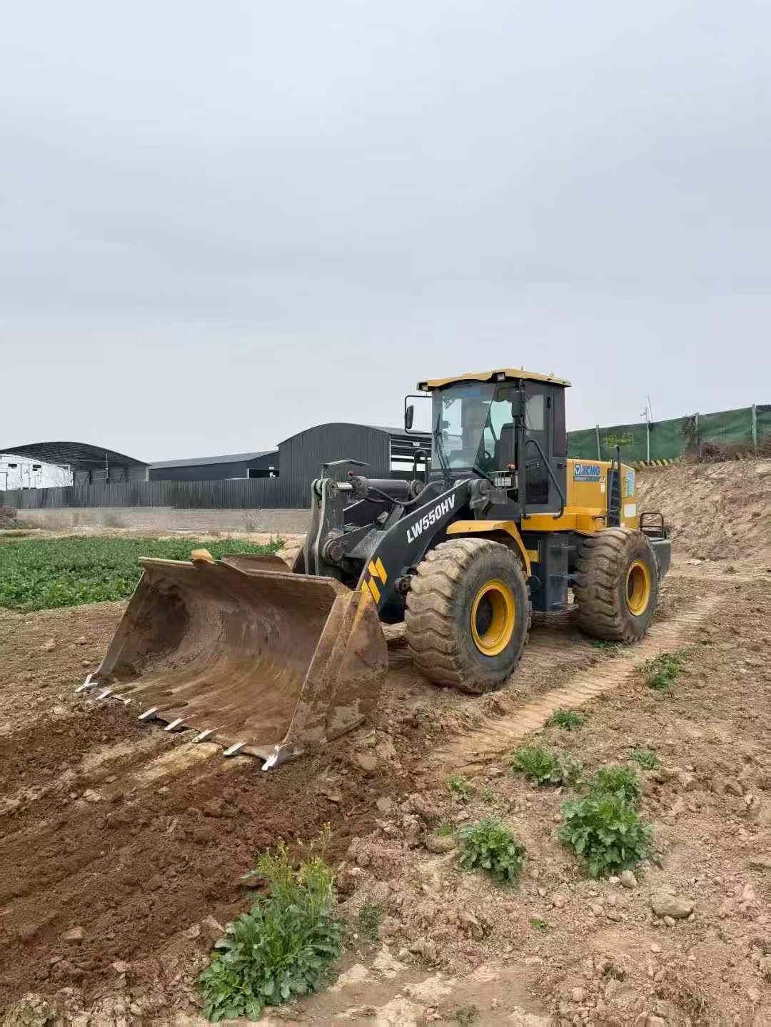 Used XCMG LW500HV Loader 2017 Model / 2