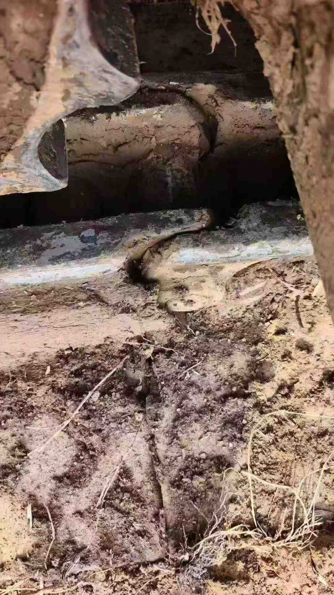 Used Komatsu PC200-10 Excavator 2016 Model / 8