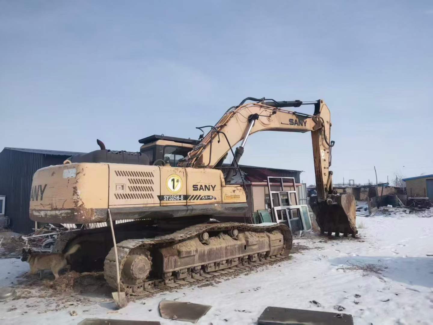 Buy Sany SY365C Used Excavator / 1