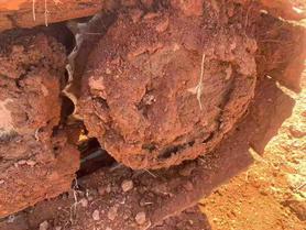 Buy Sany SY60C Used Excavator / 4 Used Sany SY60C Excavator 2017 Model / 4