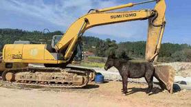 Buy Sumitomo SH240-5 Used Excavator / 3 Used Sumitomo SH240-5 Excavator 2013 Model / 3