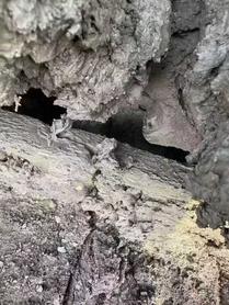 Buy Sany SY200C Used Excavator / 7 Used Sany SY200C Excavator 2021 Model / 7