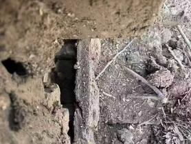 Buy Sany SY200C Used Excavator / 5 Used Sany SY200C Excavator 2021 Model / 5