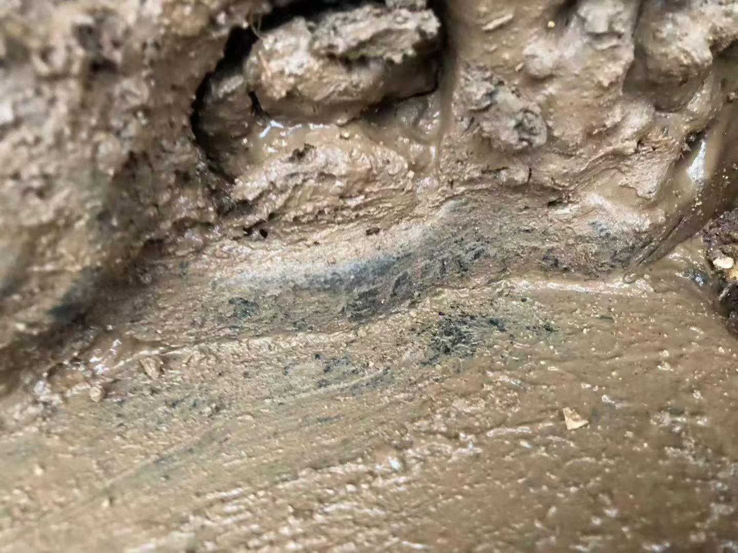 Used Sany SY135-8S Excavator 2018 Model / 6