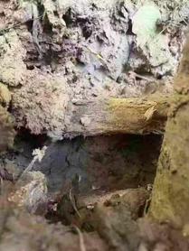 Buy Sany SY215C-8 Used Excavator / 4 Used Sany SY215C-8 Excavator 2011 Model / 4