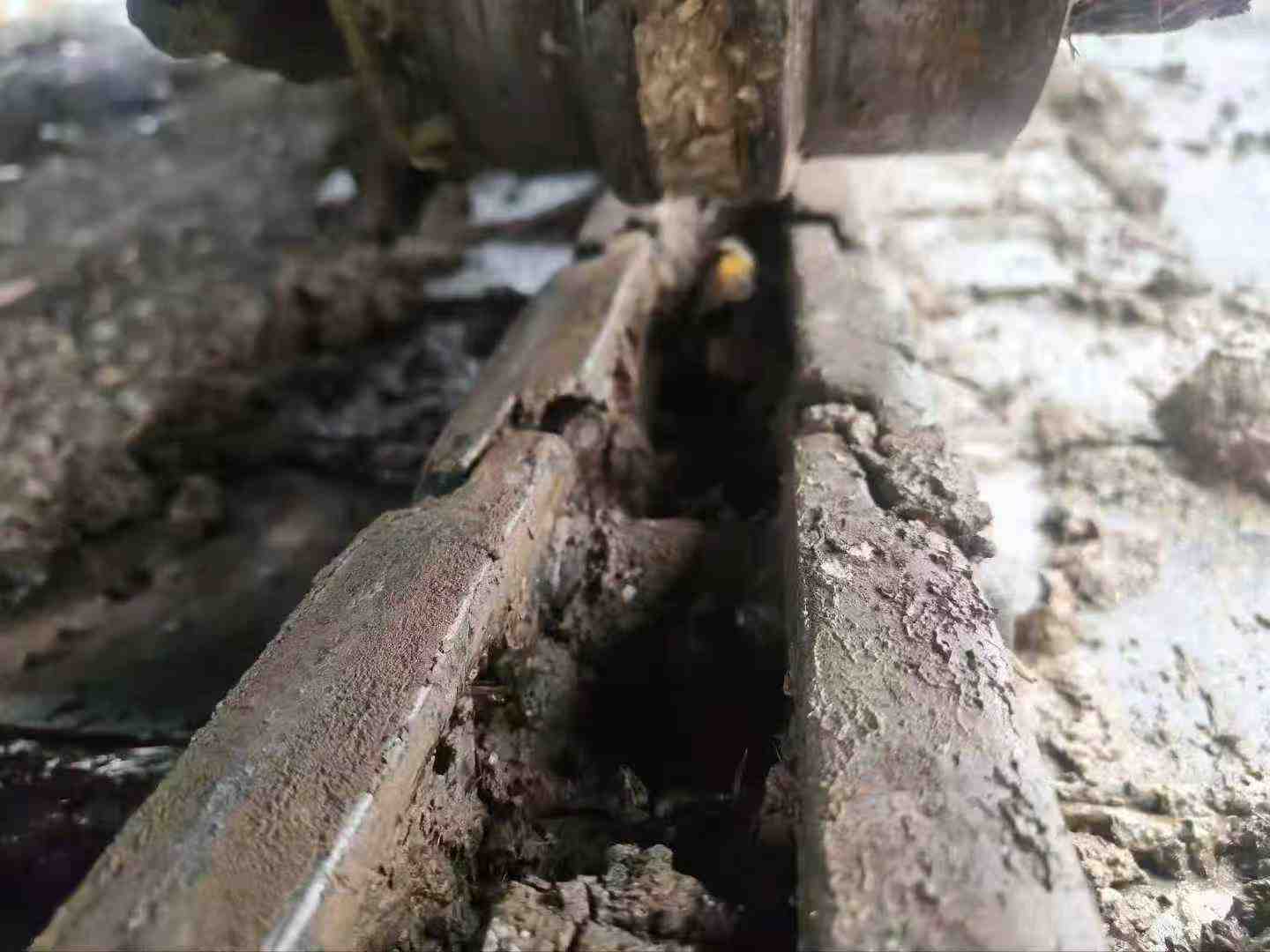 Used Sany SY75 Excavator 2019 Model / 5