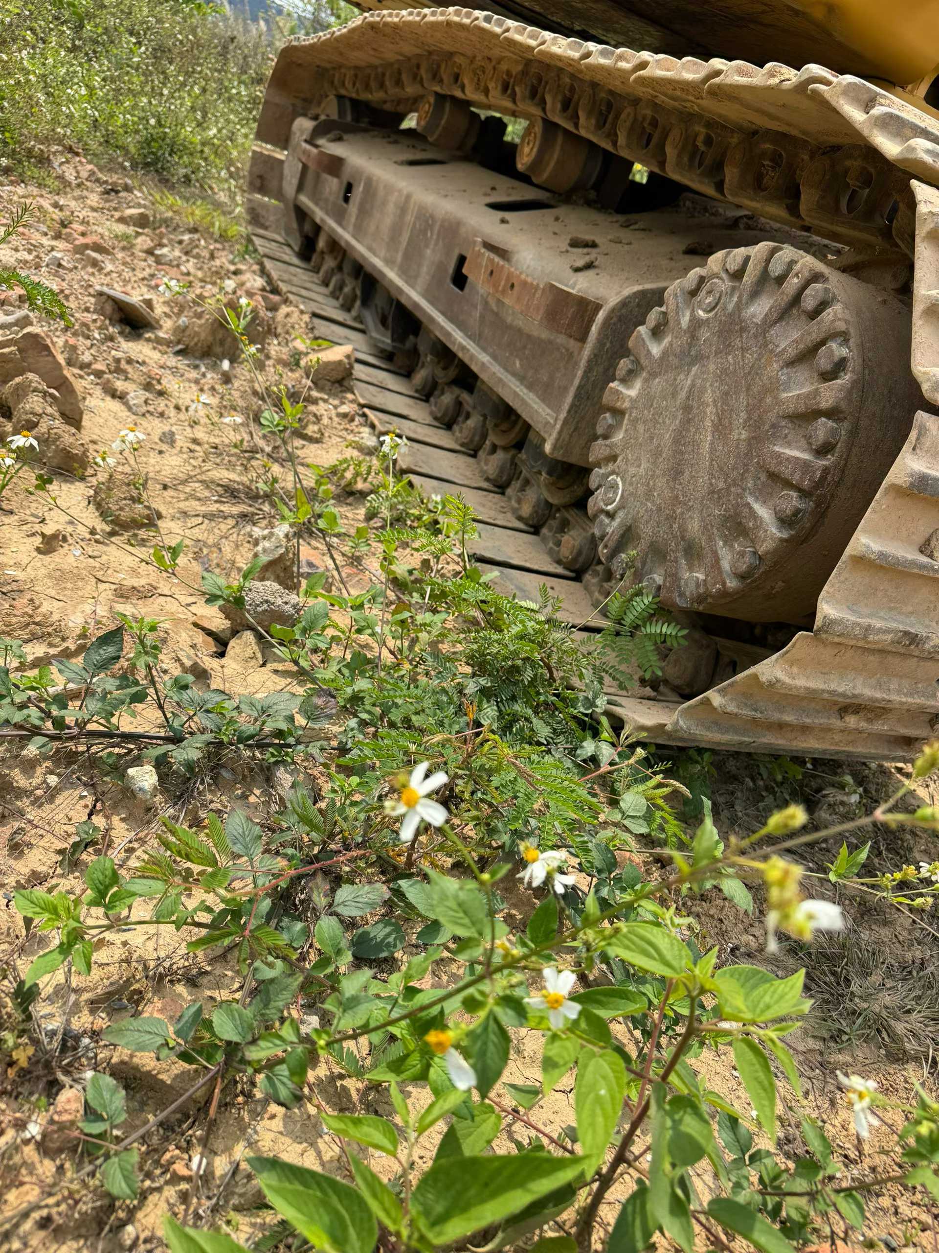 Used Caterpillar 320D Excavator 2016 Model / 8