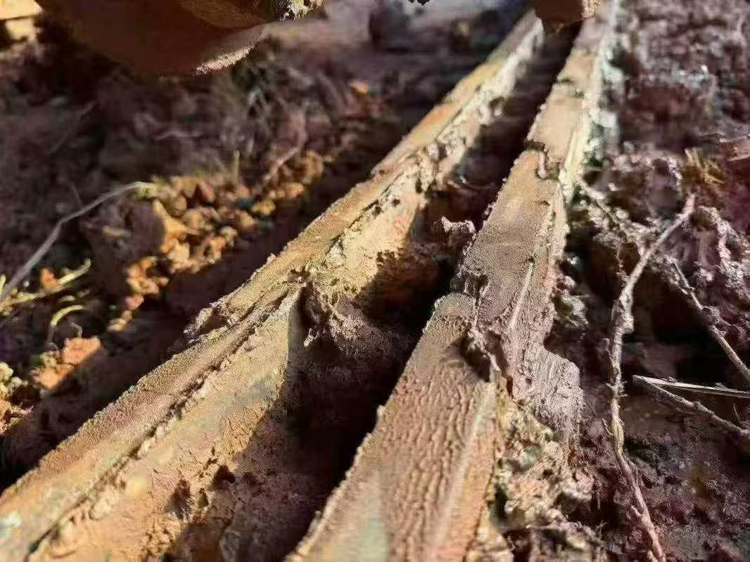 Buy Kobelco SK130 Used Excavator / 4