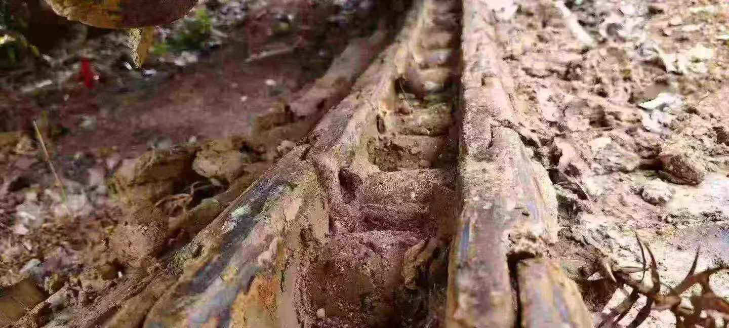 Used Caterpillar M318 Excavator 2012 Model / 4