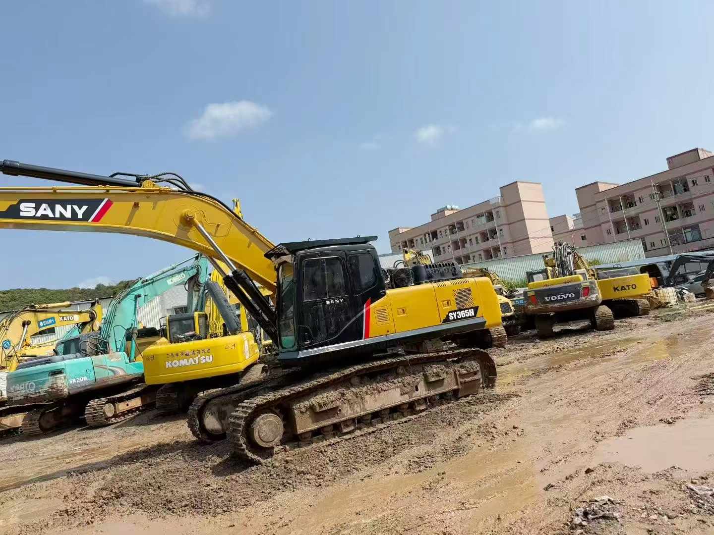 Buy Sany SY365C Used Excavator / 2