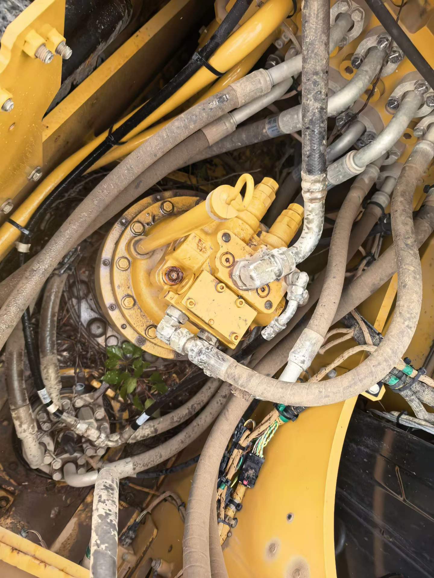 Buy Caterpillar 323 Used Excavator / 3