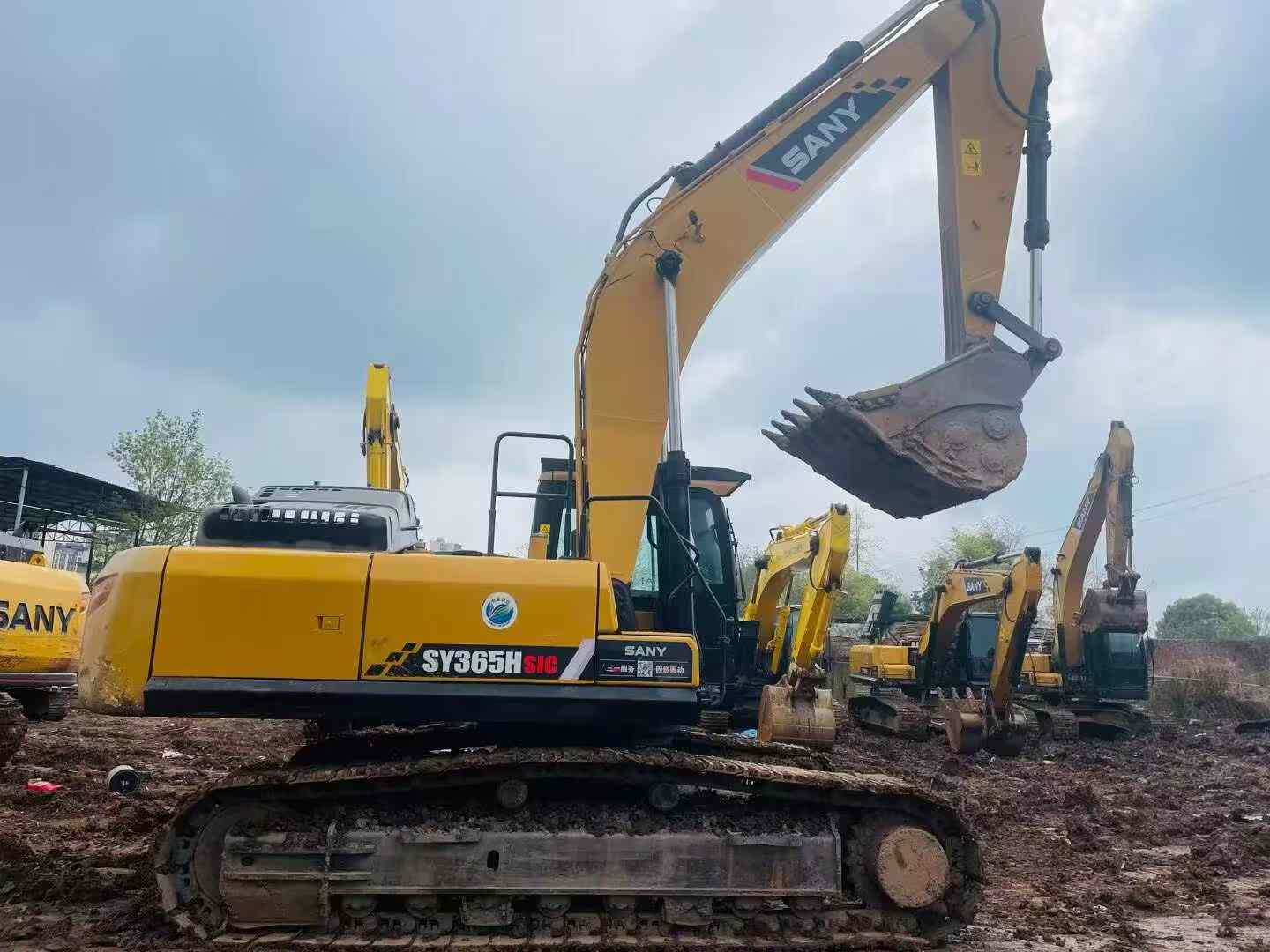 Buy Sany SY305C Used Excavator / 7