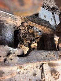 Buy Caterpillar 305.5 Used Excavator / 6 Buy Caterpillar 305.5 Used Excavator / 6