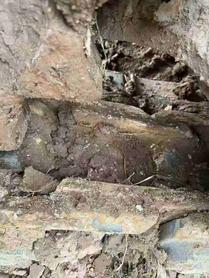 Buy Kobelco SK200 Used Excavator / 8 Buy Kobelco SK200 Used Excavator / 8