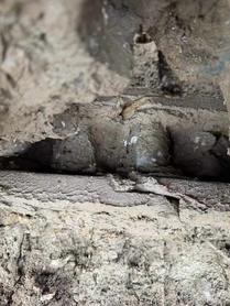 Buy Hyundai R110VS Used Excavator / 9 Buy Hyundai R110VS Used Excavator / 9