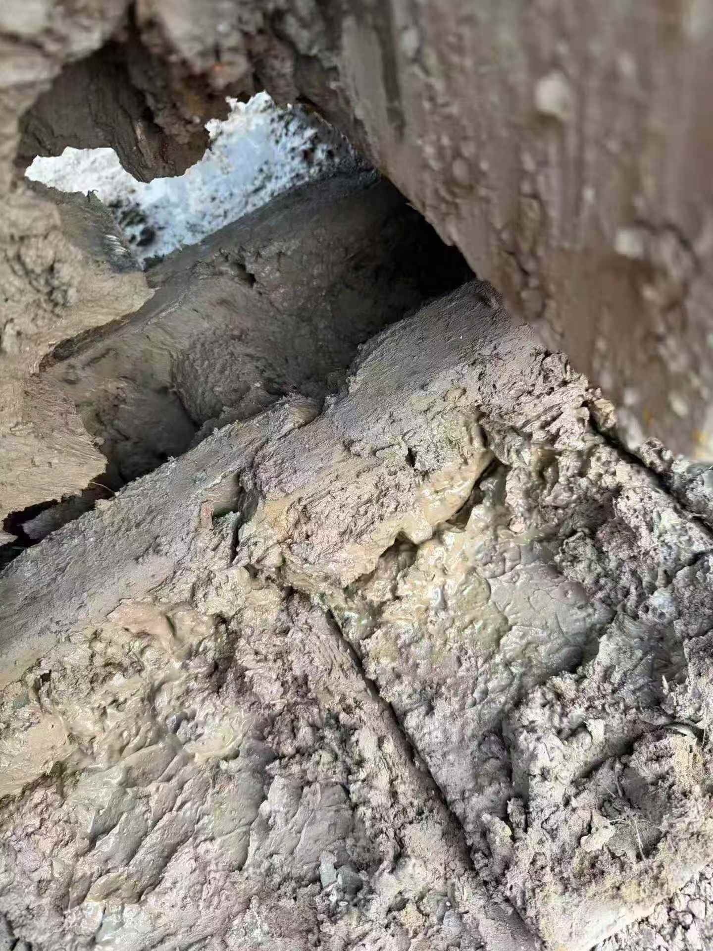 Buy Sany SY205C Used Excavator / 7