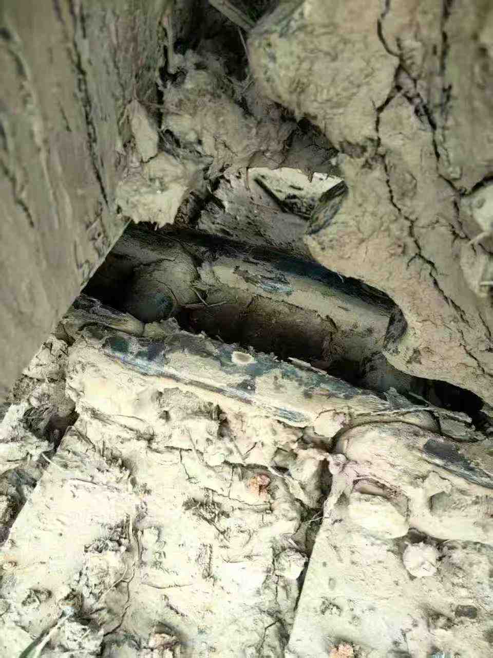 Buy Kobelco SK75-8 Used Excavator / 5