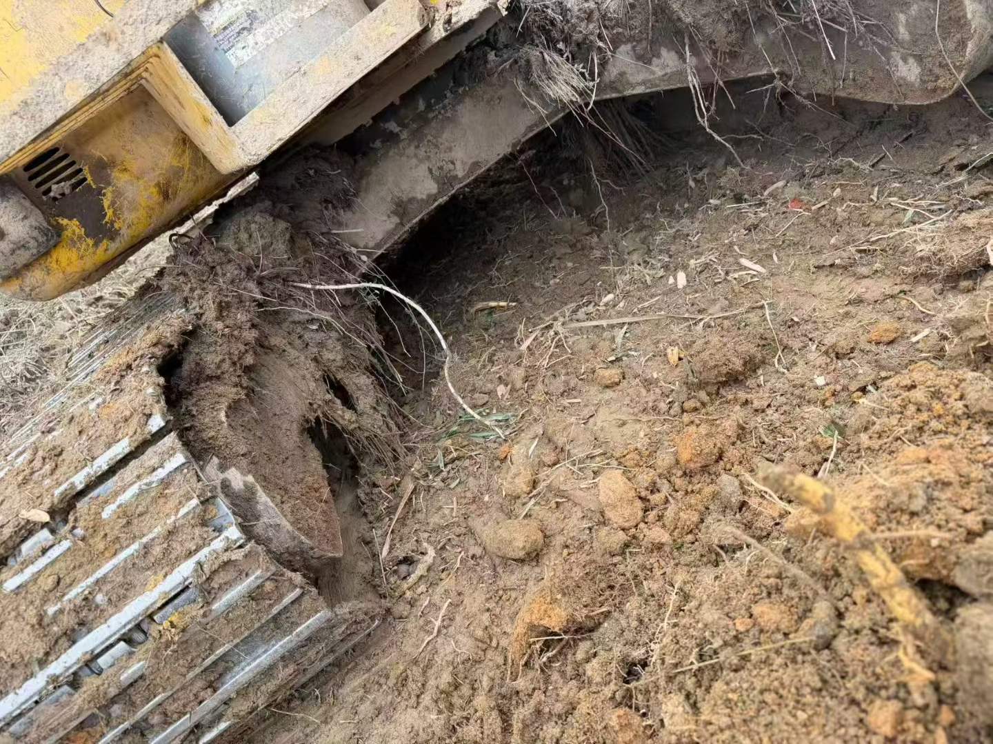 Buy Komatsu PC56-7 Used Excavator / 3