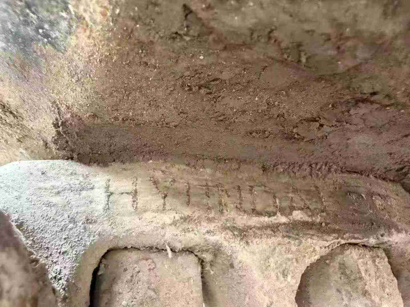 Buy Hyundai R495LVS Used Excavator / 6