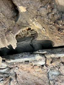 Buy Hitachi EX70 Used Excavator / 8 Buy Hitachi EX70 Used Excavator / 8