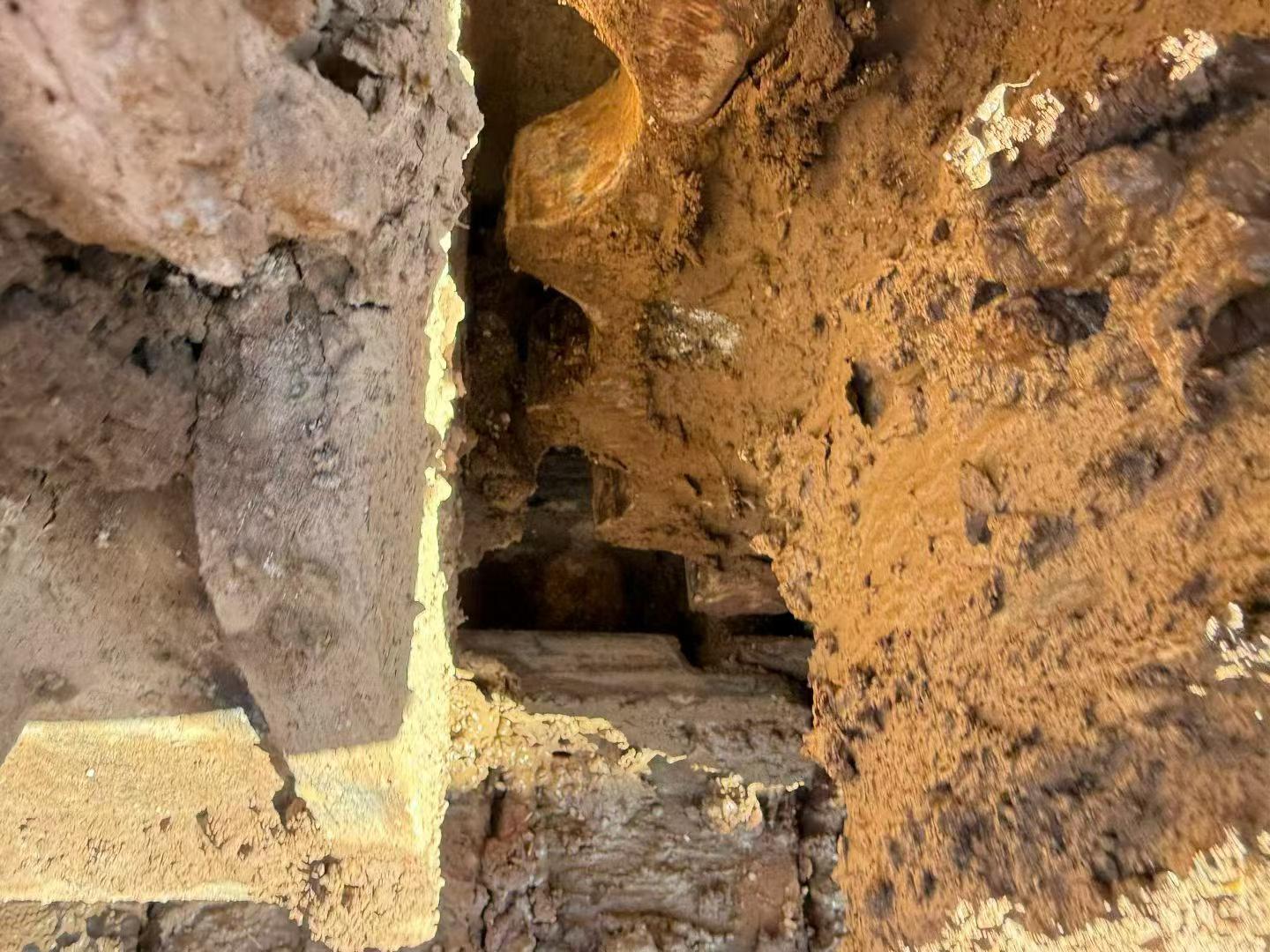 Buy Caterpillar 320D Used Excavator / 4