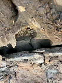 Buy Hitachi EX70 Used Excavator / 8 Buy Hitachi EX70 Used Excavator / 8