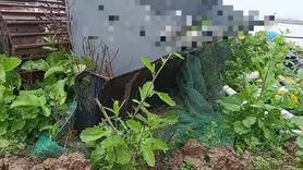 Buy Sany SY70C Used Excavator / 3 Buy Sany SY70C Used Excavator / 3