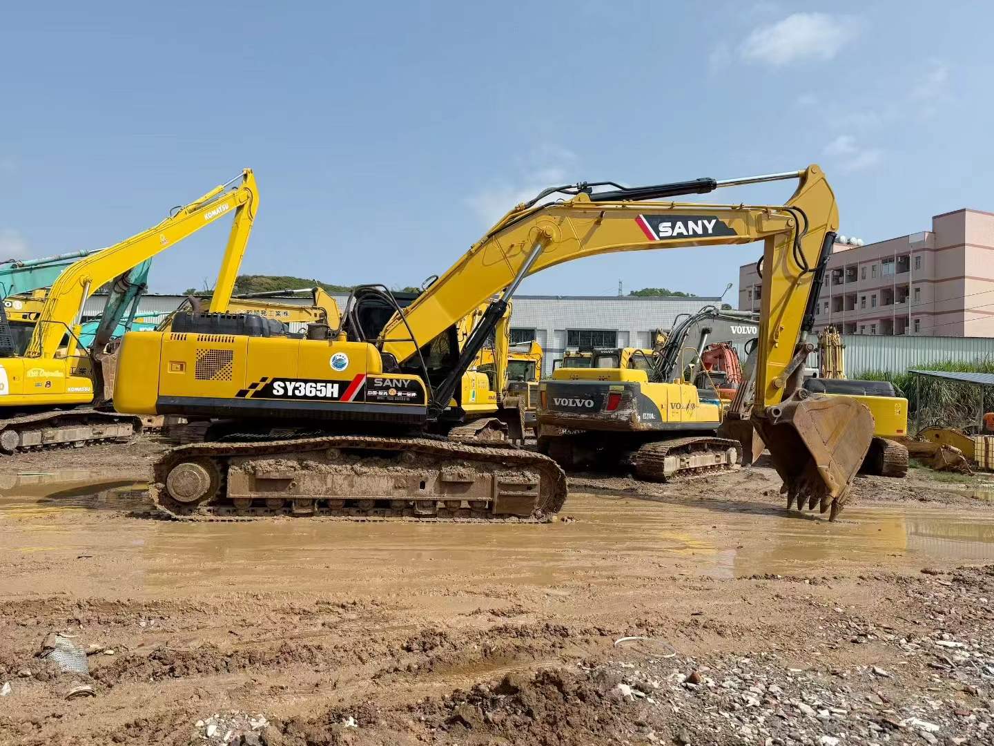 Buy Sany SY365C Used Excavator / 3