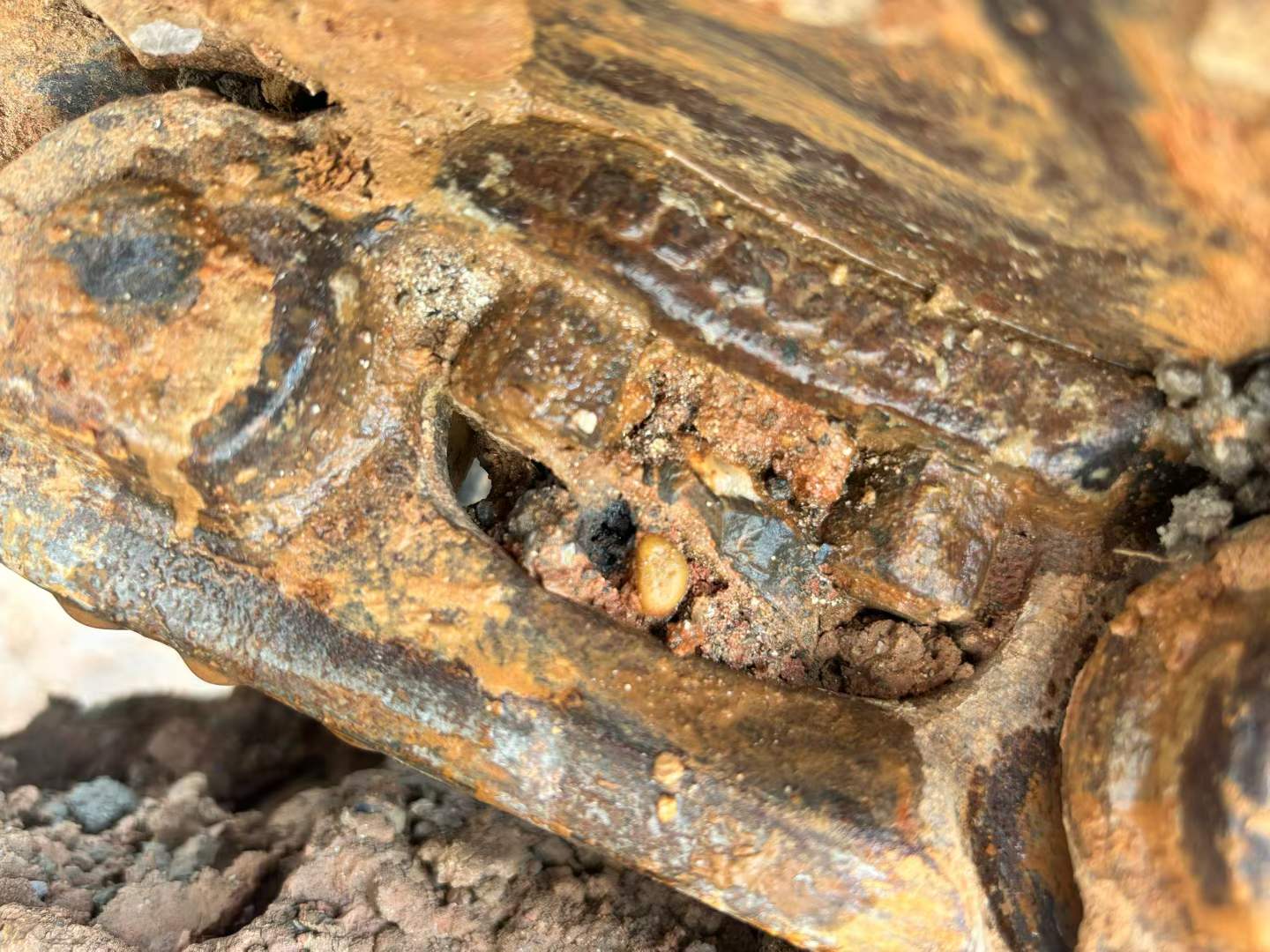 Buy Doosan DX55W Used Excavator / 8