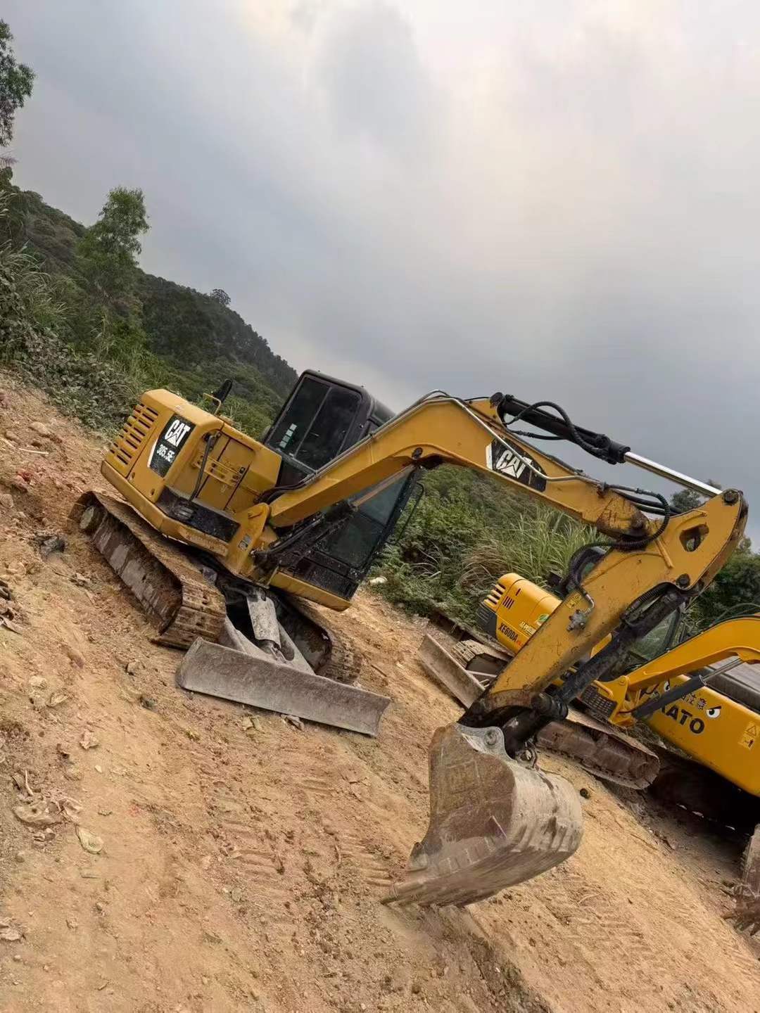 Buy Caterpillar 305.5 Used Excavator / 3