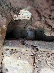 Buy Sany SY205C Used Excavator / 8 Buy Sany SY205C Used Excavator / 8