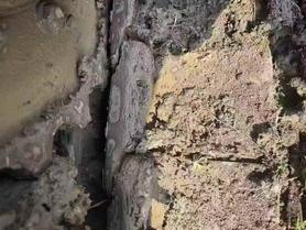 Buy Komatsu PC70-8 Used Excavator / 5 Buy Komatsu PC70-8 Used Excavator / 5