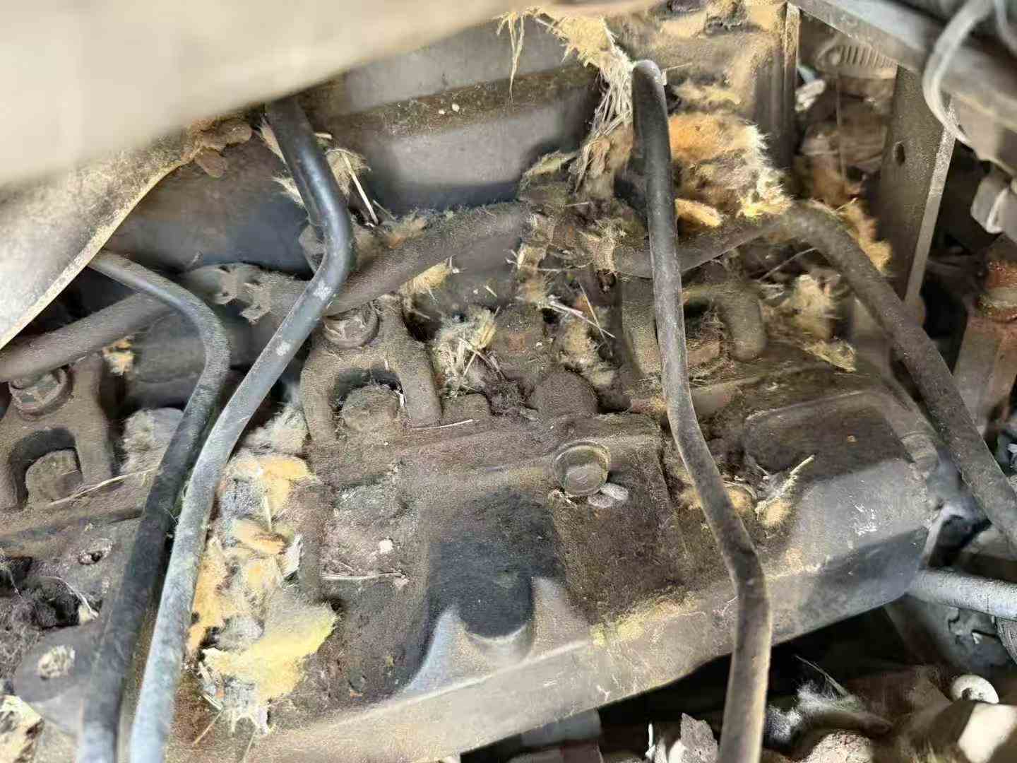 Buy Komatsu PC50MR-2 Used Excavator / 6