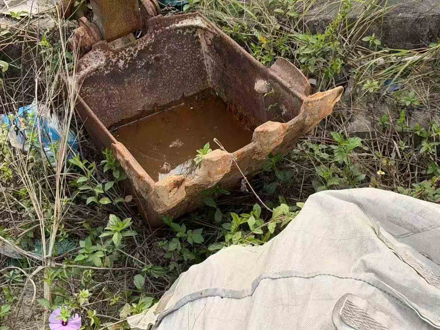 Buy Komatsu PC50MR-2 Used Excavator / 3