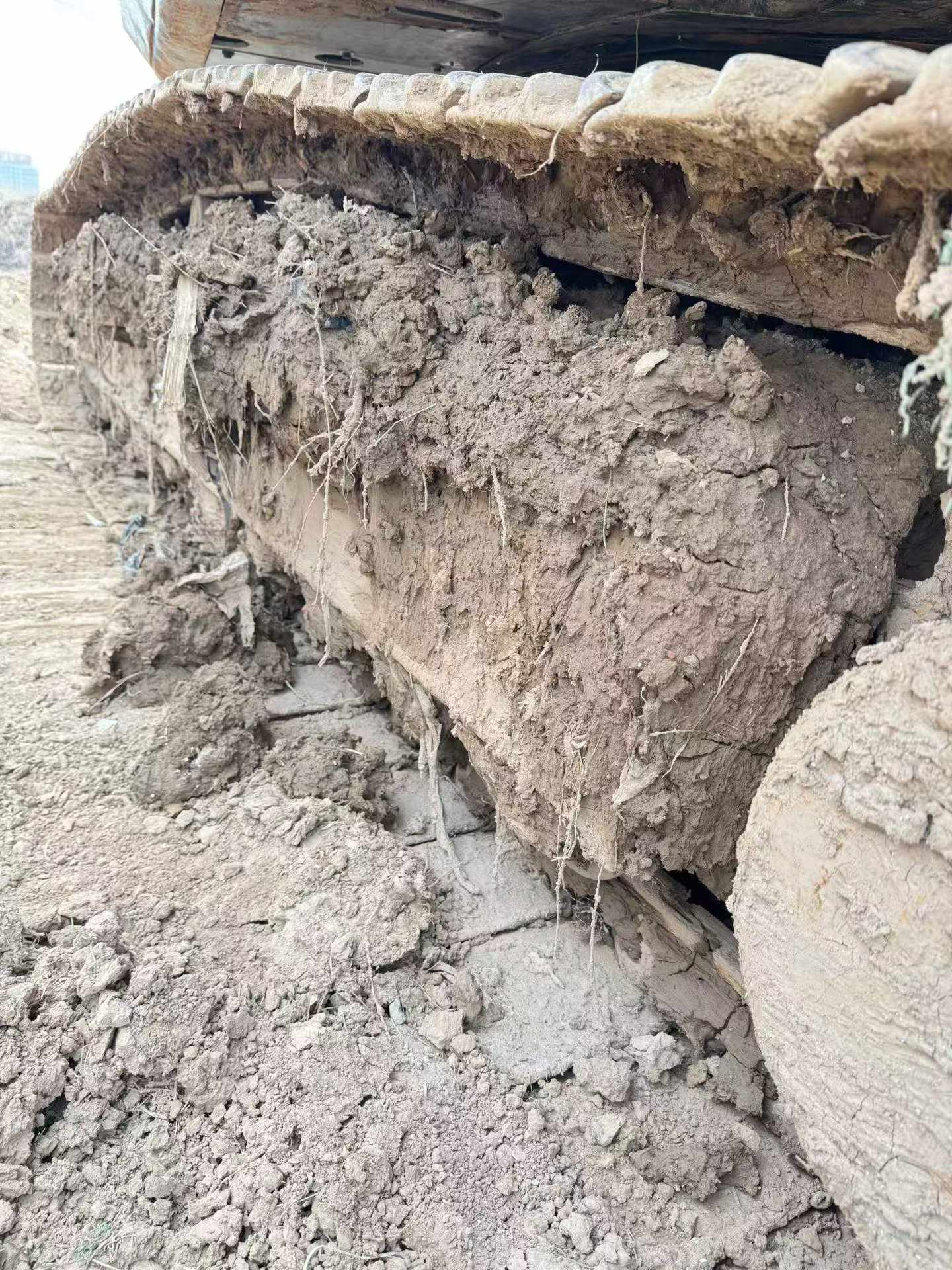 Buy Sany SY245H Used Excavator / 9