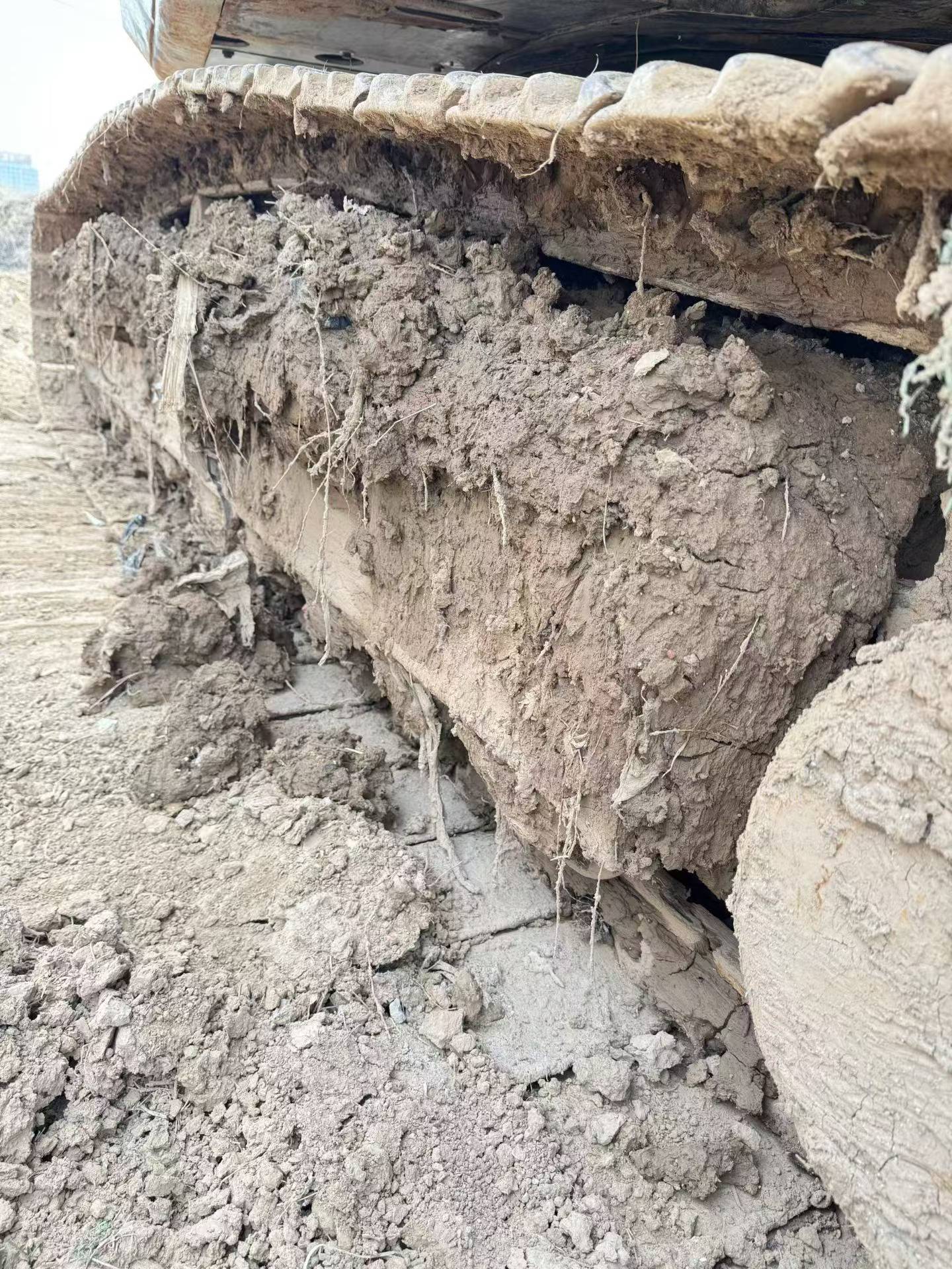 Buy Sany SY245H Used Excavator / 9