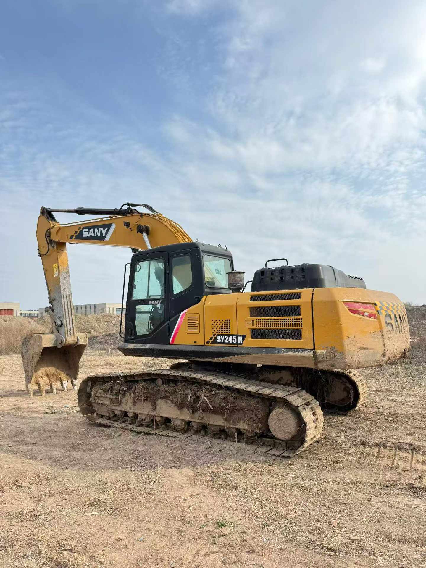 Buy Sany SY245H Used Excavator / 4