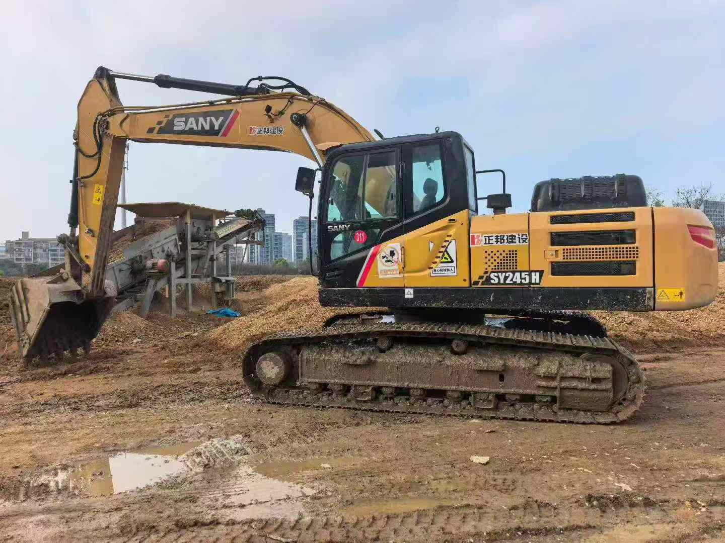 Buy Sany SY245H Used Excavator / 3