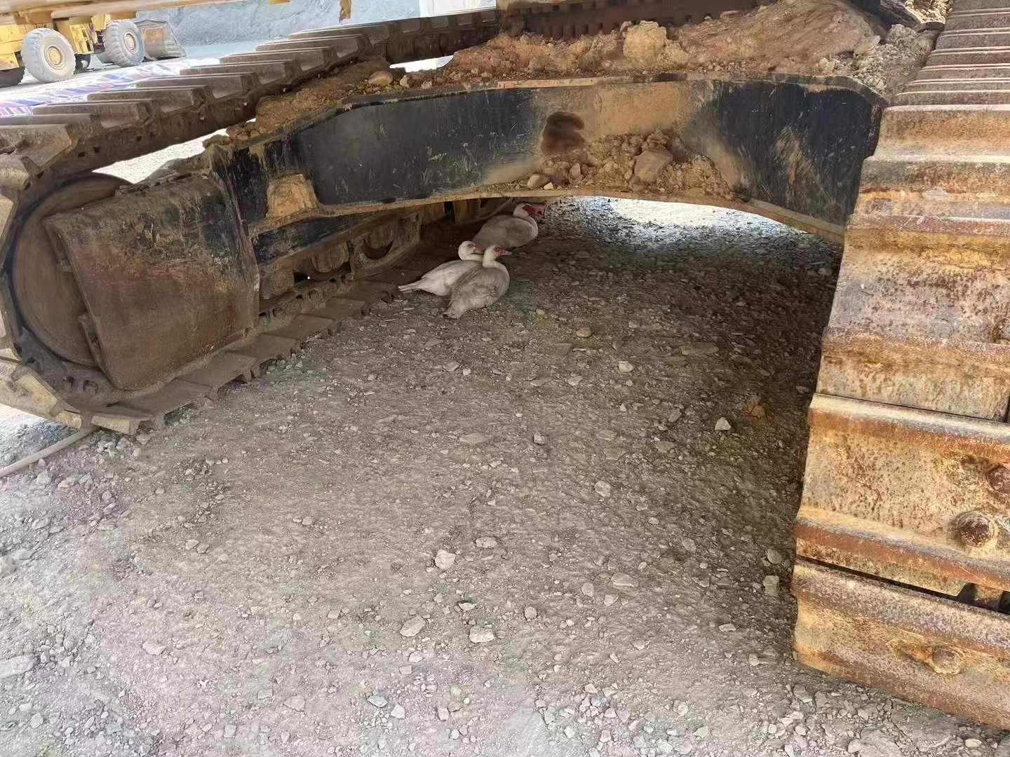 Buy Caterpillar 349E Used Excavator / 6