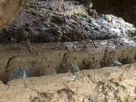 Buy Sany SY215C-8 Used Excavator / 9 Buy Sany SY215C-8 Used Excavator / 9